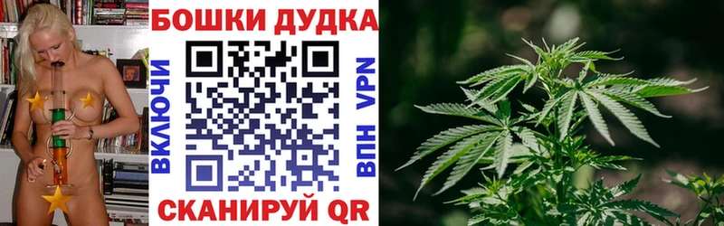 Магазины продажи наркотиков Минусинск kraken вход  Alpha PVP  ГАШ  Канабис 