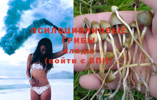 mdpv Абинск