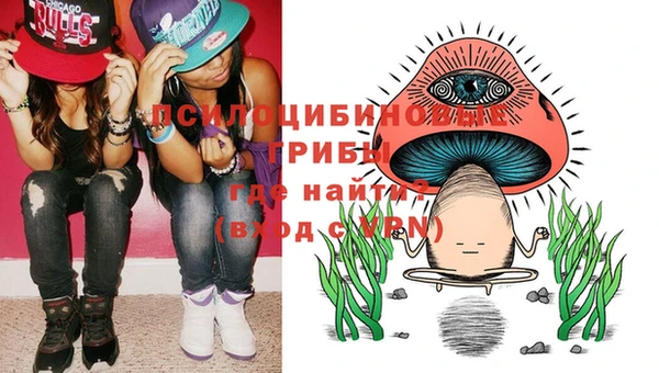 крисы Алексин